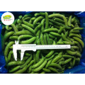 Bulk wholesale distribute IQF frozen sugar snap peas